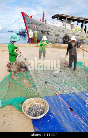 Quang Ngai, Vietnam - 31 juillet 2012 : les pêcheurs sont l'élimination de leurs filets de poisson anchois à commencer une nouvelle journée de travail à Ly Fils Banque D'Images