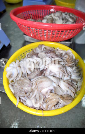 Vung Tau, Vietnam - le 28 septembre 2011 : frais crus octopus sont lavés et mis dans des paniers prépare à entrer dans le prochain processin Banque D'Images