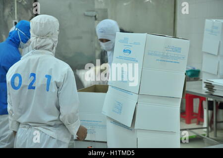 Vung Tau, Vietnam - 9 décembre 2014 : Les travailleurs sont pour l'exportation de produits d'emballage de fruits de mer dans une usine au Vietnam Banque D'Images