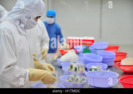 Vung Tau, Vietnam - 9 décembre 2014 : Les travailleurs sont pour l'exportation de produits d'emballage de fruits de mer dans une usine au Vietnam Banque D'Images