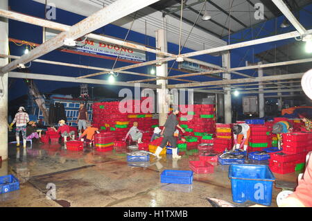 Nha Trang, Viêt Nam - Février 21, 2013 : Les poissons sont recueillies et triés dans des paniers avant le chargement sur le camion à la Banque D'Images