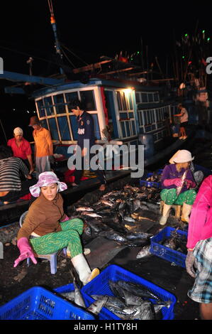 Nha Trang, Viêt Nam - Février 21, 2013 : Les poissons sont recueillies et triés dans des paniers avant le chargement sur le camion à la Banque D'Images