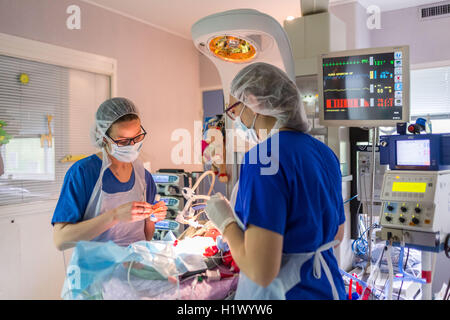 Bébé nouveau-né placé sous assistance respiratoire, service de pédiatrie, Hôpital de Bordeaux, France. Banque D'Images