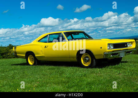 1968 Dodge Super Bee Banque D'Images