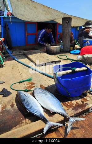 Nha Trang, Vietnam - Mai 4, 2012 : préparer le déjeuner par pêcheur sur un bateau de pêche au thon dans la mer de la baie de Nha Trang Banque D'Images
