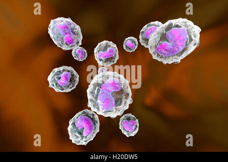 Les monocytes, les cellules du système immunitaire, la défense, l'illustration en rendu 3D Banque D'Images