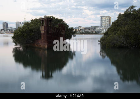 Ayrfield SS (SS) Corrimal lancé comme une des nombreuses épaves encore à Homebush Bay Sydney New South Wales Australie Banque D'Images