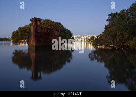 Ayrfield SS (SS) Corrimal lancé comme une des nombreuses épaves encore à Homebush Bay Sydney New South Wales Australie Banque D'Images