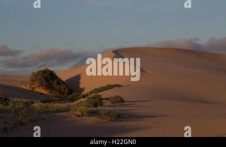 Dunes de sable de l'Vigars bien sur les murs de la Chine Mungo National Park New South Wales Australie Banque D'Images