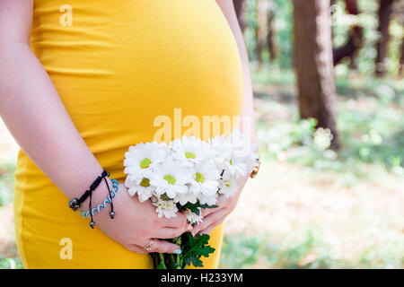 Close up sur le ventre de femme enceinte, portant robe jaune, tenant dans les mains bouquet fleurs de camomille à l'extérieur, nouvelle vie Banque D'Images