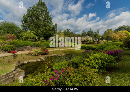 Parc agricole de Sabah Tenom dédié à la conservation des plantes et de la flore en l'apprenant d'intérêt pour les touristes et les chercheurs Banque D'Images