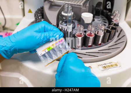 Des échantillons de sang dans des flacons sur une machine centrifuge. Banque D'Images