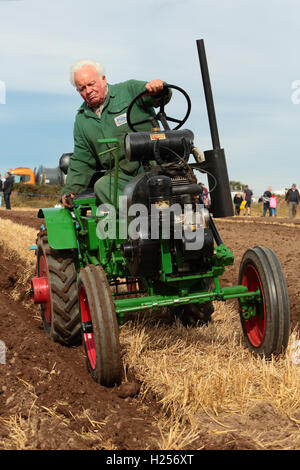 Farnsfield, Dorset UK. 24 septembre 2016. Un concurrent participant à la compétition de labour à Southwell de labour. Crédit : Peter Hatter/Alamy Live News Banque D'Images