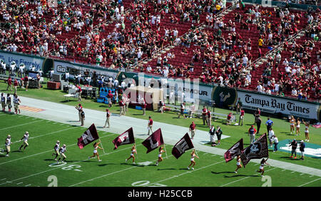 Tampa, Floride, USA. Sep 24, 2016. CHRIS URSO | fois.Florida State Seminoles prendre le champ juste avant leur match contre les Bulls de la Floride du Sud Samedi, 24 septembre 2016 à Tampa. © Chris Urso/Tampa Bay Times/ZUMA/Alamy Fil Live News Banque D'Images