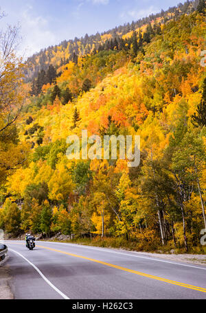 L'autoroute 50 sur moto USA & feuillage d'automne près de Monarch Pass ; le centre du Colorado, USA Banque D'Images