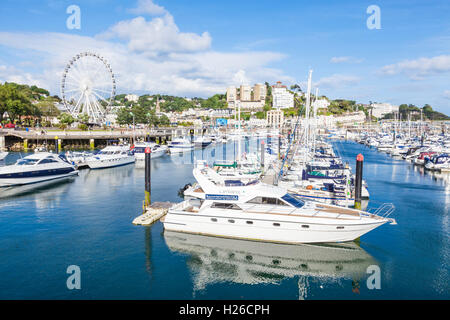 Torquay Devon Torbay Yachts et bateaux de luxe amarrés à Torquay Marina Torquay Devon Riviera anglaise Angleterre GB Europe Banque D'Images