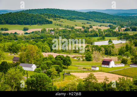 Voir des exploitations agricoles et des collines de Sky Meadows State Park, dans les régions rurales de la vallée de Shenandoah en Virginie. Banque D'Images