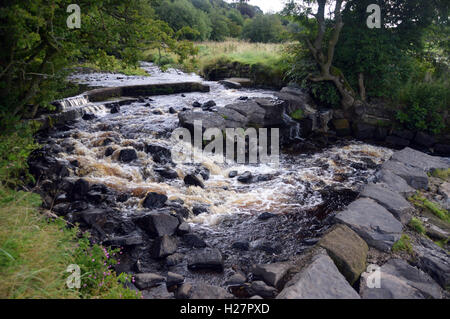 Ball Grove Fish Pass on Colne Water à Colne, Pendle, Lancashire, Angleterre, Royaume-Uni Banque D'Images