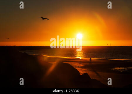 Silhouettes au coucher du soleil à Half Moon Bay, Californie Banque D'Images