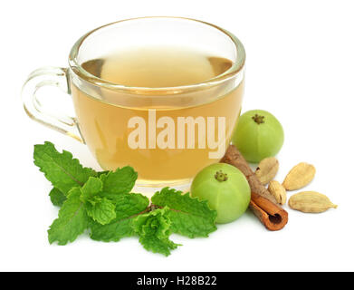 Tisane dans une tasse avec différentes herbes over white background Banque D'Images