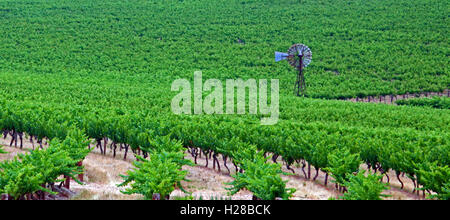 Moulin à Barossa Valley Vineyards Banque D'Images