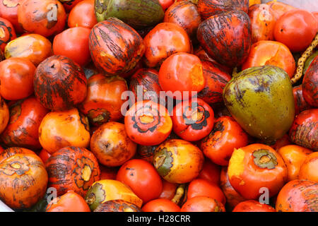 Japanese persimmon sont à vendre dans un marché local de l'Inde Banque D'Images