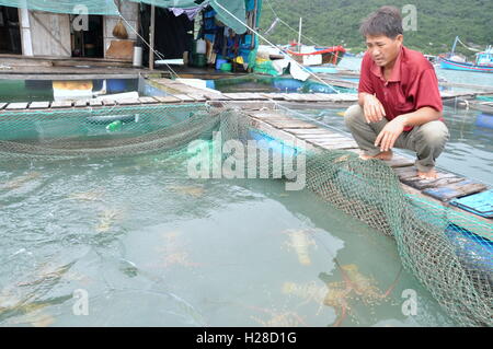 Phu Yen, Vietnam - 21 décembre 2011 : Un agriculteur avec son élevage de homards en cage l'annuaire Ro bay au Vietnam Banque D'Images