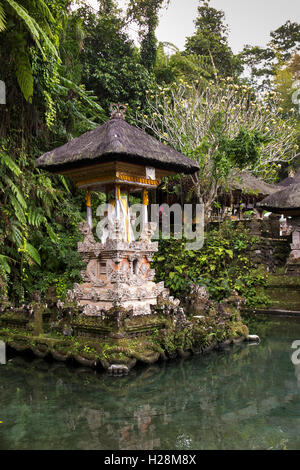 L'INDONÉSIE, Bali, Pura Gunung Kawi Sebatu, temple hindou, culte dans la piscine Banque D'Images