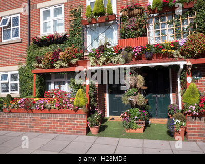 Terrasse maisons avec flora Afficher en fleur, Albert Road, Southsea, Portsmouth, Hampshire, England, UK Banque D'Images