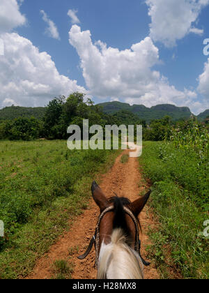 Voyageant sur un cheval Banque D'Images