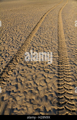 Les traces de pneus dans le sable humide sur une plage au coucher du soleil Banque D'Images