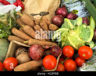 Les légumes biologiques frais, sur un stand appelé ' la vie en direct sur la place du marché dans des huiles végétales Banque D'Images