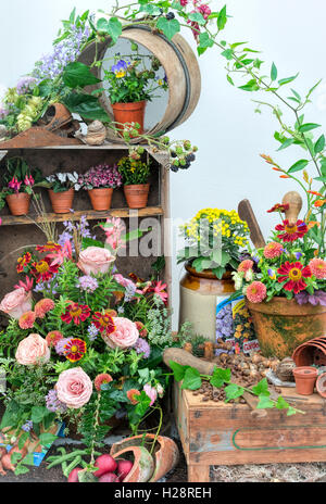 Art floral automne caisses en bois, de fleurs et de baies à la Harrogate automne flower show. Harrogate, North Yorkshire, Angleterre Banque D'Images