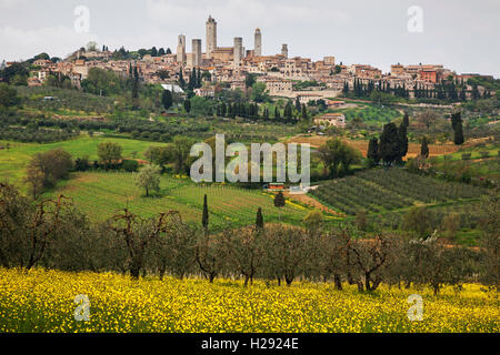 Campagne au printemps, la ville de San Gimignano, Province de Sienne, Toscane, Italie Banque D'Images