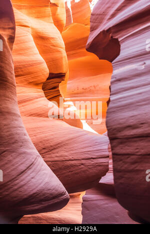 Formation de grès colorés, la lumière incidente, Lower Antelope Canyon, Slot Canyon, Page, Arizona, USA Banque D'Images