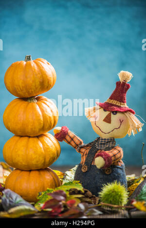 Épouvantail rigolo show citrouilles dans le jardin d'automne Banque D'Images