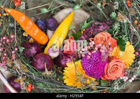 Les légumes récoltés Banque D'Images