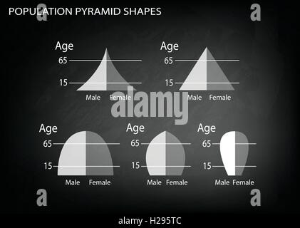 Population et démographie, Illustration Ensemble de 5 types de pyramides des âges Graphique ou Tableau noir sur le graphique B Illustration de Vecteur