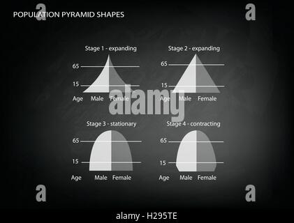 Population et démographie, Illustration Set de 4 types de pyramides des âges Graphique ou Tableau noir sur le graphique B Illustration de Vecteur