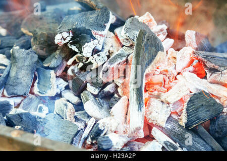 Brûlant du charbon de barbecue en close-up Banque D'Images