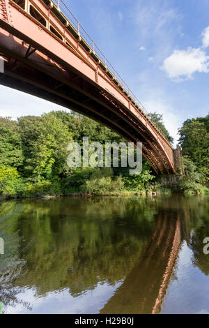 Le pont ferroviaire de Victoria, près de Bewdley et Arley, Worcs, UK. Conçu en 1861 par John Fowler et construit à partir de la fonte. Banque D'Images