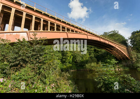 Le pont ferroviaire de Victoria, près de Bewdley et Arley, Worcs, UK. Conçu en 1861 par John Fowler et construit à partir de la fonte. Banque D'Images