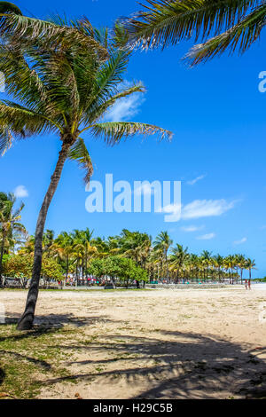 Le parc Lummus Miami Banque D'Images