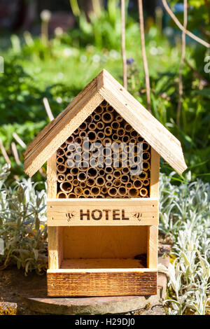 Les insectes et les abeilles dans un jardin de l'hôtel Banque D'Images