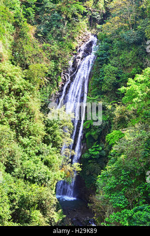 Muara Jaya cascade de Majalengka, Ouest de Java Banque D'Images