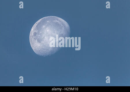 Trois quart de lune dans le ciel du matin. Banque D'Images