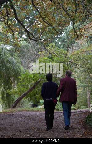 Wimbledon Londres, Royaume-Uni. 26 Sep, 2016. Les gens marchent sur Wimbledon Common gris sur un jour d'automne un arbre feuilles commencent à crédit : couleur amer ghazzal/Alamy Live News Banque D'Images