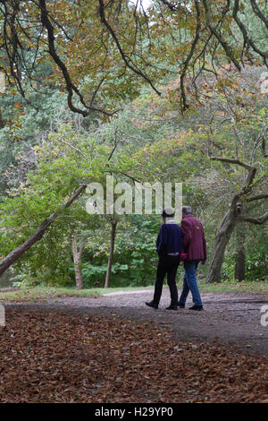 Wimbledon Londres, Royaume-Uni. 26 Sep, 2016. Les gens marchent sur Wimbledon Common sur un jour d'automne gris comme les feuilles des arbres commencent à crédit : couleur amer ghazzal/Alamy Live News Banque D'Images