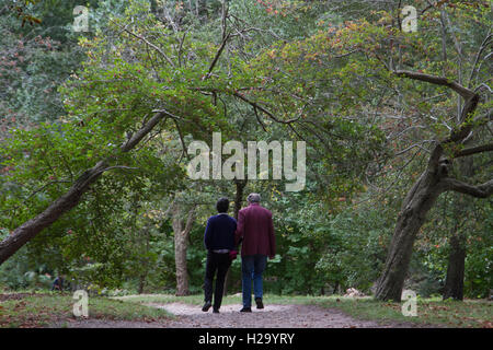 Wimbledon Londres, Royaume-Uni. 26 Sep, 2016. Les gens marchent sur Wimbledon Common gris sur un jour d'automne un arbre feuilles commencent à crédit : couleur amer ghazzal/Alamy Live News Banque D'Images