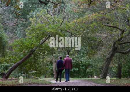 Wimbledon Londres, Royaume-Uni. 26 Sep, 2016. Les gens marchent sur Wimbledon Common gris sur un jour d'automne un arbre feuilles commencent à crédit : couleur amer ghazzal/Alamy Live News Banque D'Images